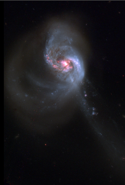 Image of NGC 1614