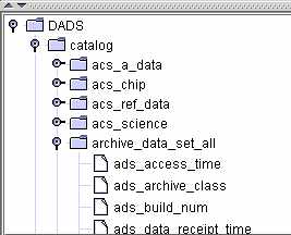 database tree