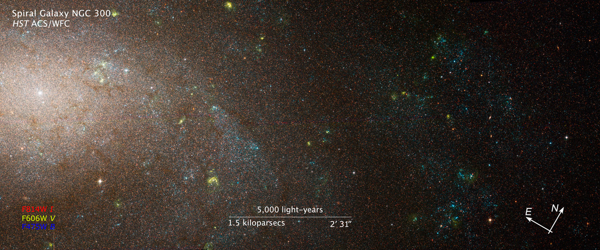 NGC 300 mosiac image