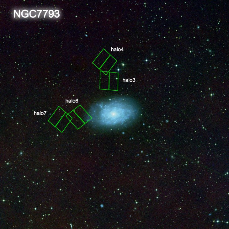 NGC7793