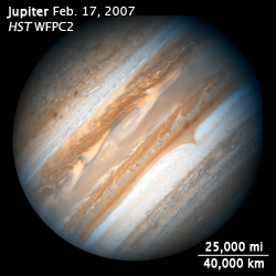 image showing orientation and scale of image