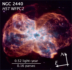 image showing orientation and scale of image