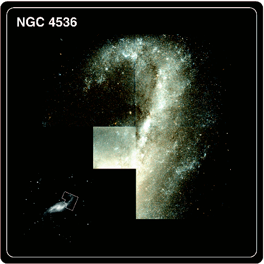 image of NGC4536-FIELD