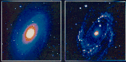 UV and optical images of M81 