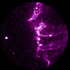 UV image of Cygnus Loop