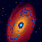  Messier 81 --- UV/optical composite image